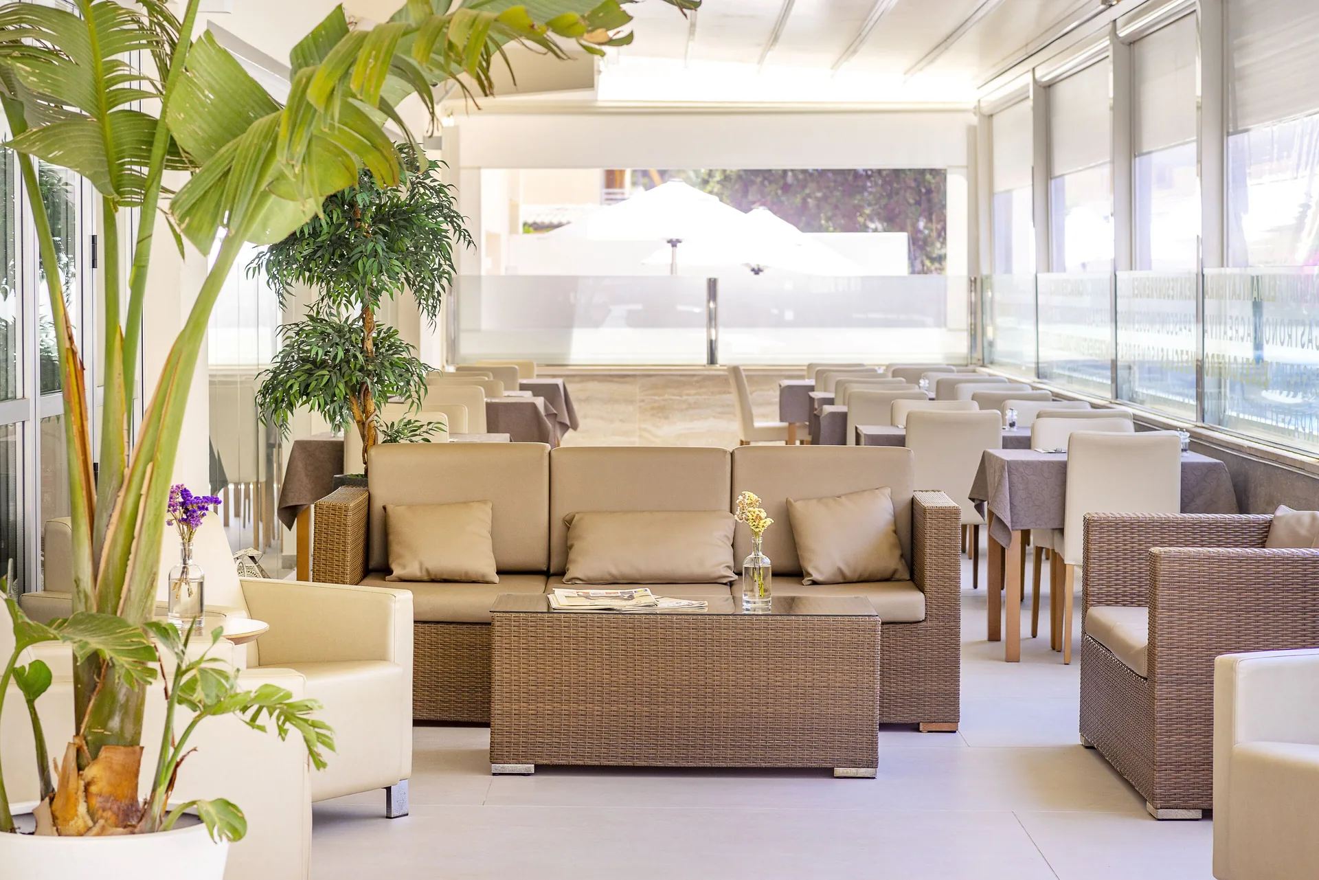 Terrace and lounge area